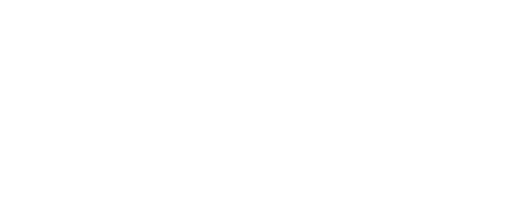 Black Belt Command Post - Logo - white - rd1